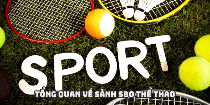 SBO thể thao
